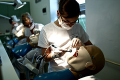Výuka zubaři