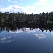 Zlaté Hory 10