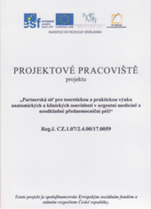 Projektové pracoviště